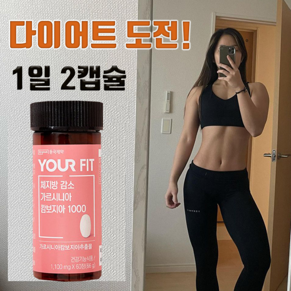 유어핏 효과좋은 다이어트 8주분 체지방 약 살빠지는 내장지방빼는 도움 단기간