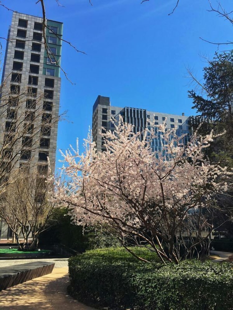 [해외] | Beijing | 베이징 이러지아 아파트먼트