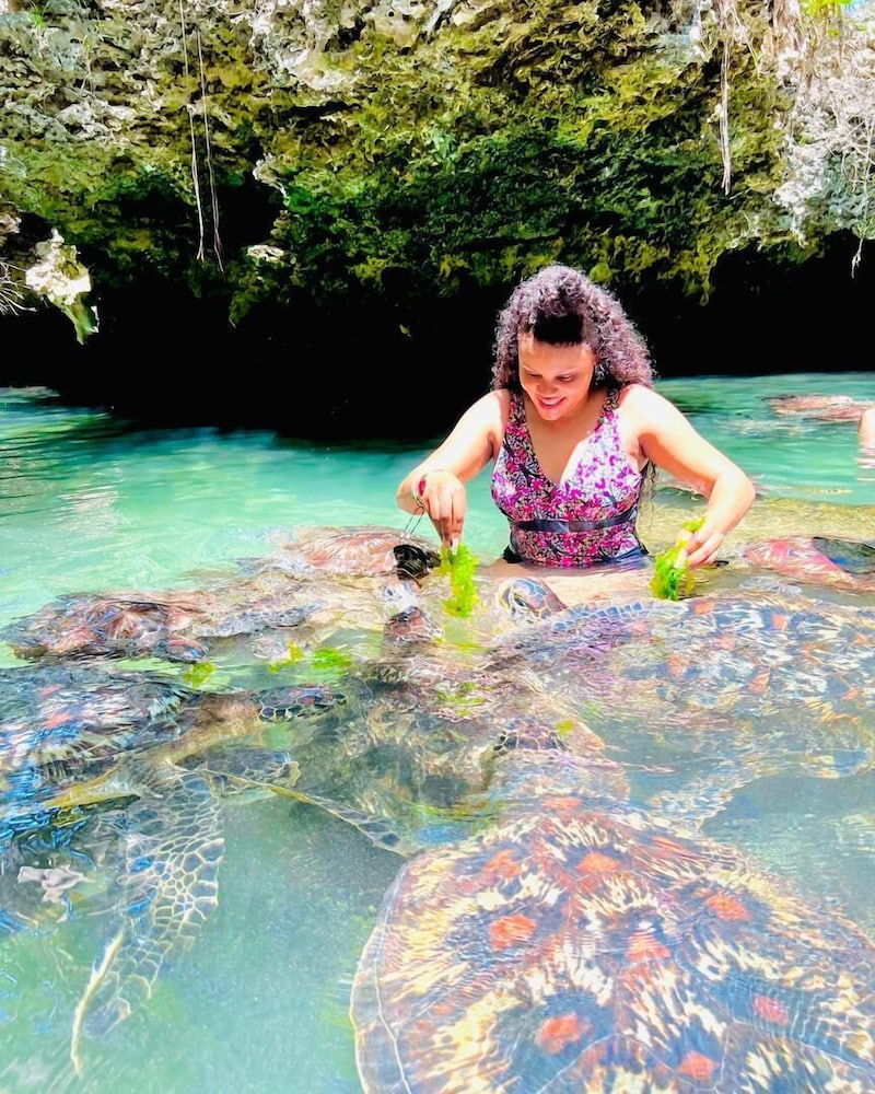 | Nungwi | 바라카 아쿠아리움 방갈로