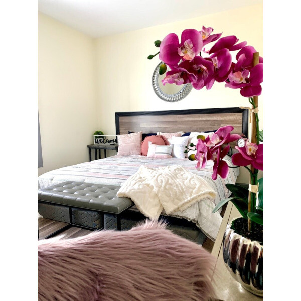 이스트사이드 메너  개인 마당과 주차장 폭포와 카지노 근처 나이아가라