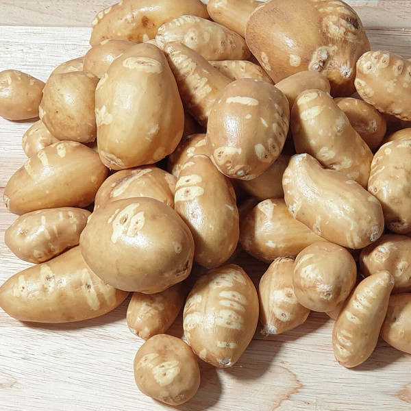 [오늘출발] 해남 인디언감자 2kg (중/대/특) 손질세척으로 편리한 땅끝마을 콩감자