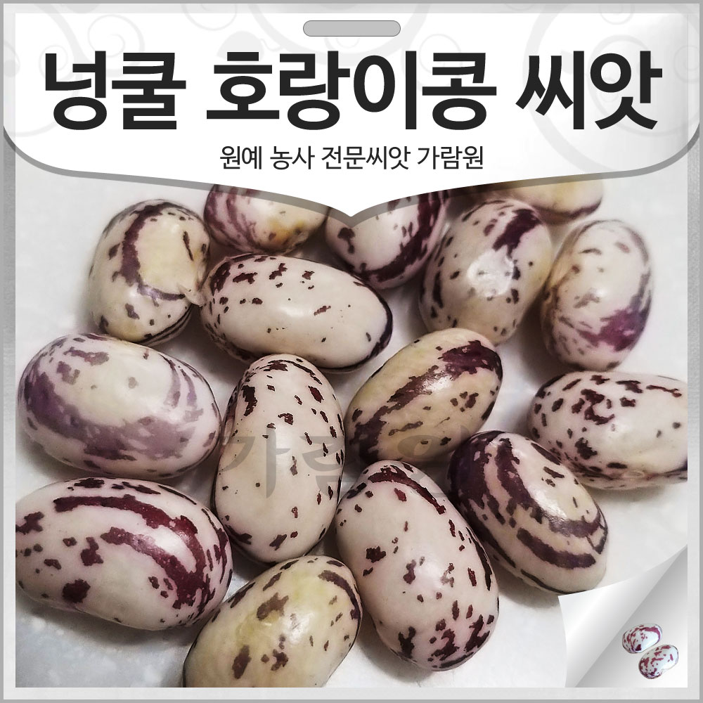 [오늘출발] 호랑이 강낭콩 씨앗 호랑이콩 종자 호랑이콩씨 콩 30g 가람원 가람원