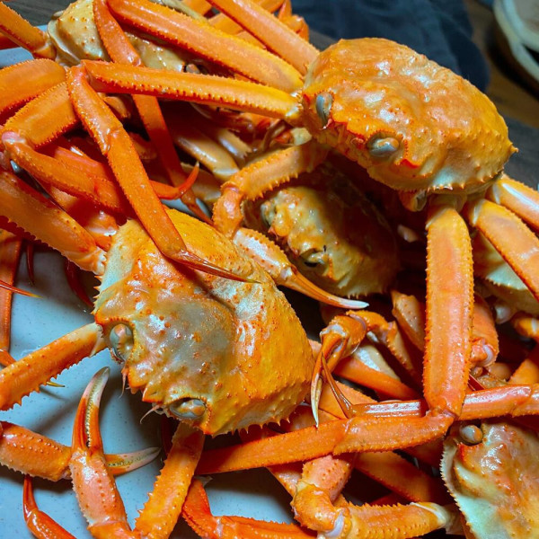 감동수산 포항 구룡포 자숙 홍게 10마리 고급형 생생정보통