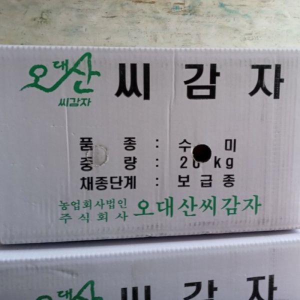 맛있는 수미 정품 종자 씨 감자 4kg 24년 강원 고냉지 (두백선택가능)