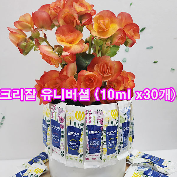 [오늘출발] (샤인몰) 절화수명연장제(모든꽃전용) 크리잘 유니버셜(액상) 10mlx30ea 무료배송/꽃을 신선하게 오래 유지