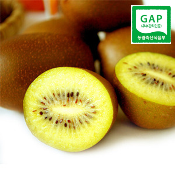 [오늘출발] 하동 골드키위 참다래 3kg 점보  (개당 150g / 20개 내외)