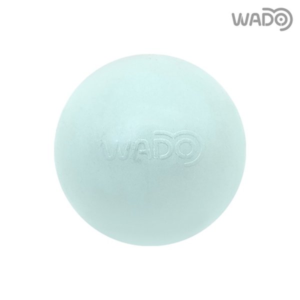 마사지볼-마리나블루 (영등포점)