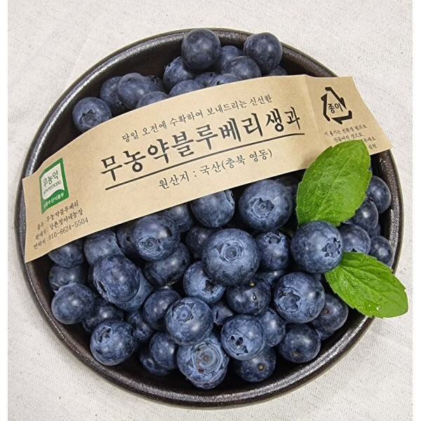 [오늘출발] 2023년 국산 블루베리 무농약 생블루베리 영동 햇블루베리 생과 왕특 1kg 25년 무농약 햇블루베리