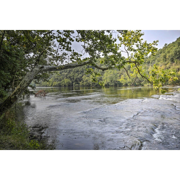 | Rileyville | 시에난도아 리버 게트어웨이  9 Mi to 다운타운 루레이