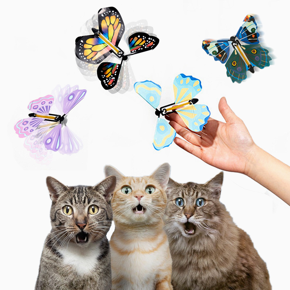 [오늘출발] 체크스토리 고양이장난감 플라잉나비 날아다니는나비스크래쳐 애완 강아지