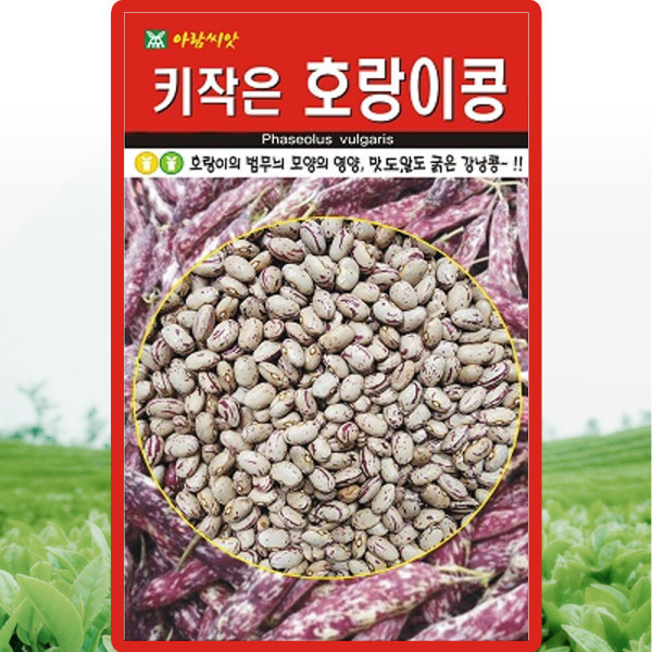 [오늘출발] 아람종묘 키작은 호랑이콩 씨앗 30g 비넝쿨 강낭콩씨 종자