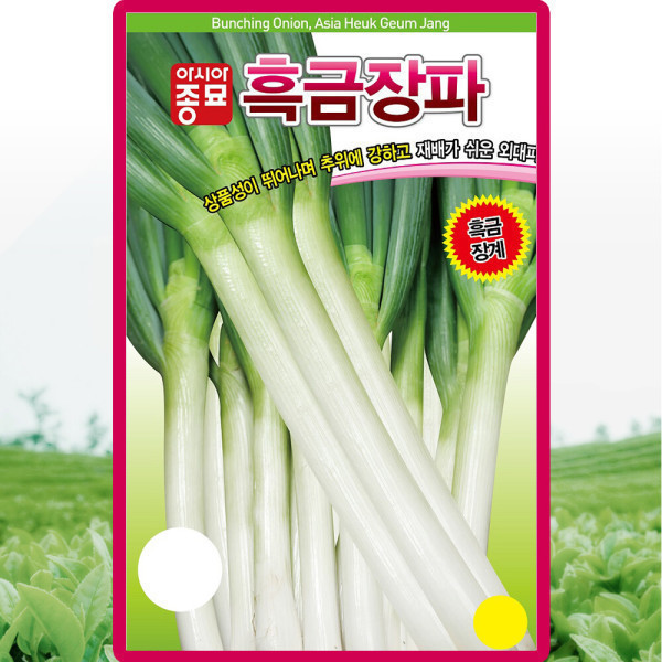 [출판사 아시아종묘][오늘출발] 아시아종묘 아시아종묘 흑금장파 씨앗 10g 외대파씨 종자