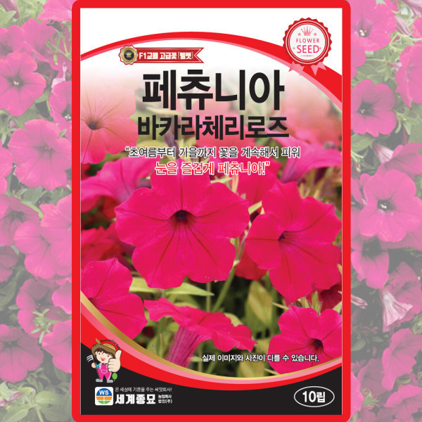 [오늘출발] 세계종묘 페츄니아 바카라 체리로즈 씨앗 10립 페츄니아 꽃씨 종자