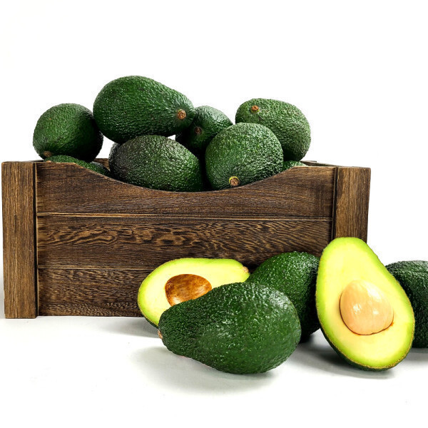 [오늘출발] 최상급 프리미엄 초신선 아보카도 15입(개당220g내외) 대과