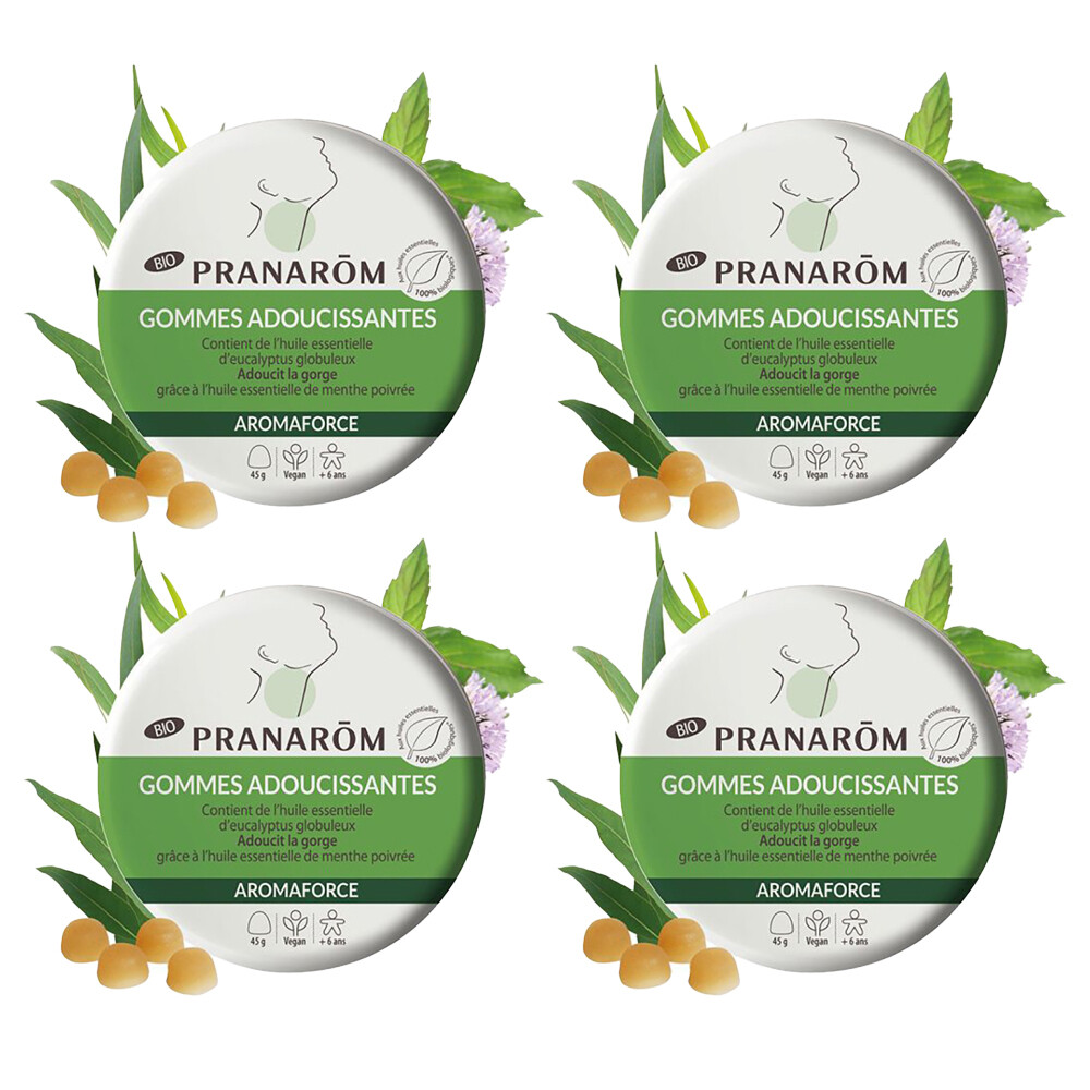 PRANAROM 프라나롬 오가닉 아로마포스 유칼립투스 소프트 민트 구미 45g 4팩