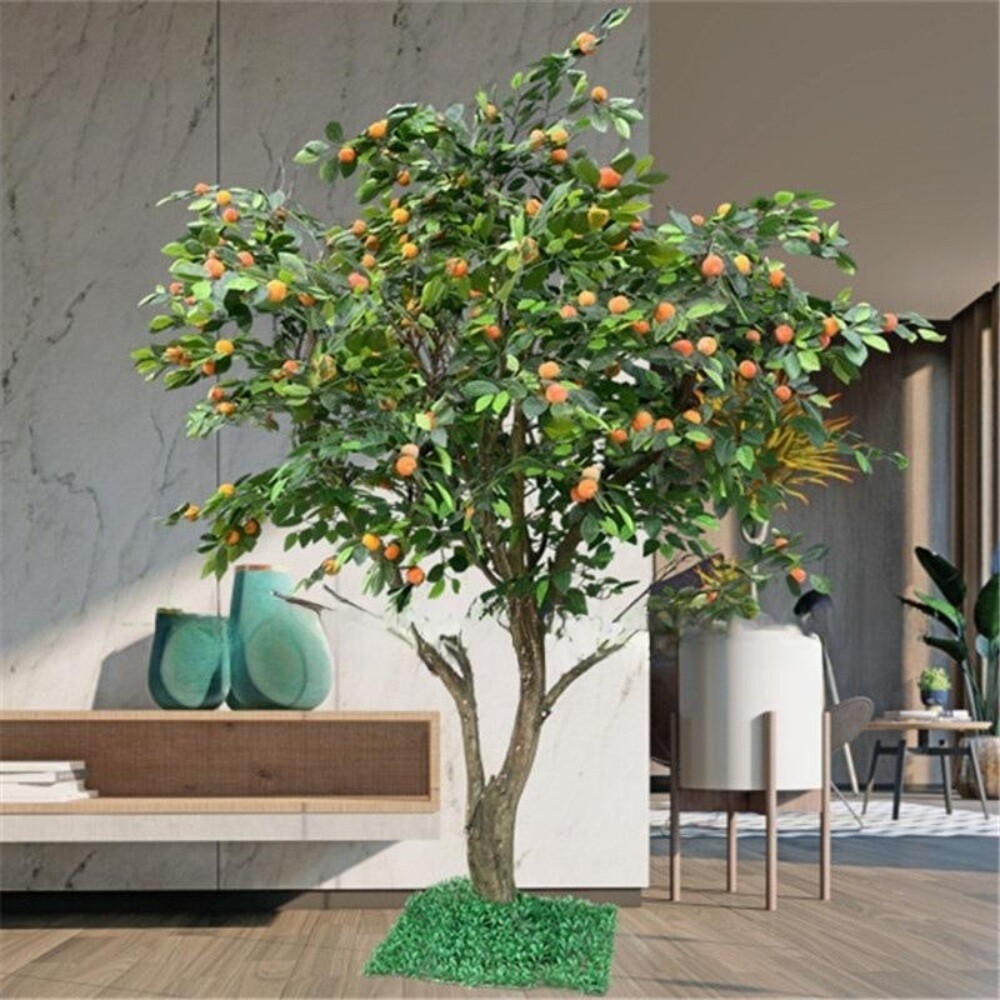 제주도 감귤나무 조화 카페 스튜디오 술집 매장 전시 조경