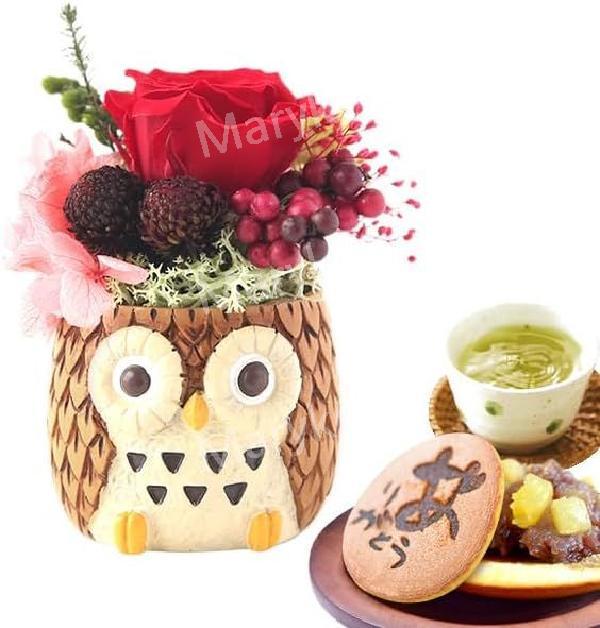 오모야 선물 미니 포트 프리자브드 호화 도라야키 올빼미 세트