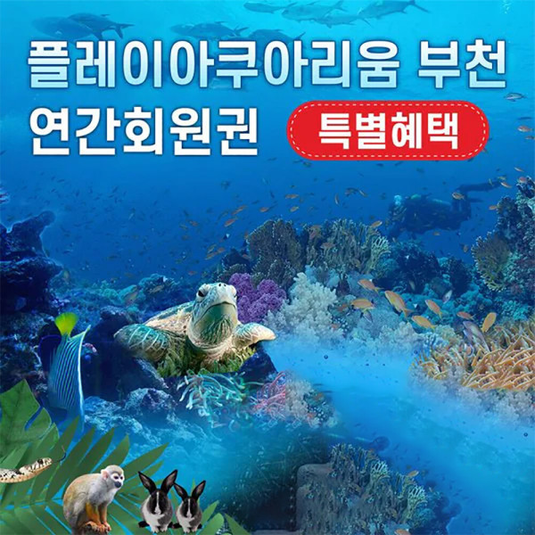 [오늘출발] 부천 아쿠아리움+동물원+파충류관+생태 도슨트 (연간 회원권)