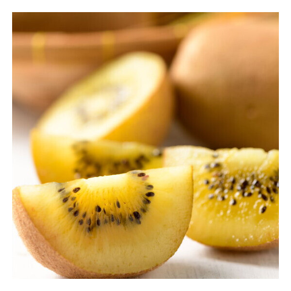 전남생협 보성 골드키위 2kg(중) 23-25과