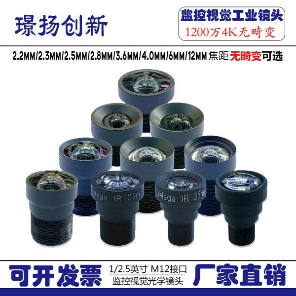 왜곡 무료 및 변형 가능 M12 렌즈 HD 5 백만 비전 쌍안 얼굴 인식 2.8 3.6 4 6 8mm