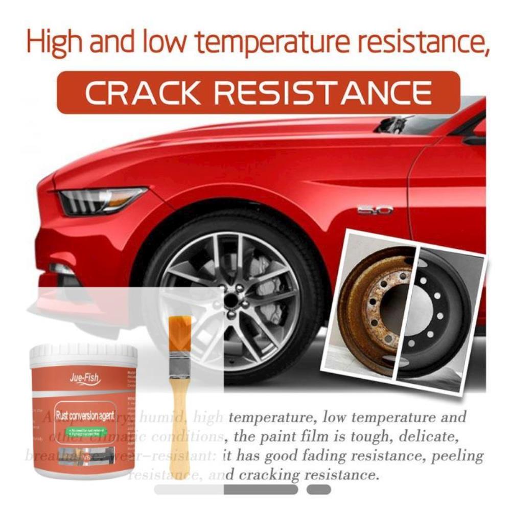 [해외] 녹제거제 금속 수성 페인트 녹 제거제 다목적 방지 보호 자동차 코팅 프라이머 100g 300g