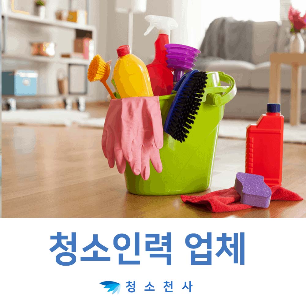 식당주방청소이모 식당주방청소인력 정리정돈이모예약 정리정돈신청 방역청소이모 대청소 일당청소