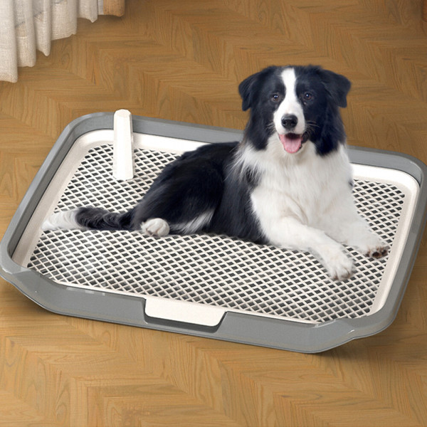 [오늘출발] 정글몬스터 요기쏘 강아지 애견 대형 기둥 배변판 화장실