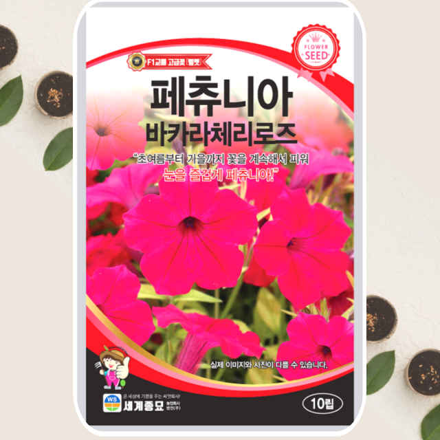 [오늘출발] 꽃씨 페츄니아 바카라체리로즈 10립 꽃씨앗 종자 세계종묘