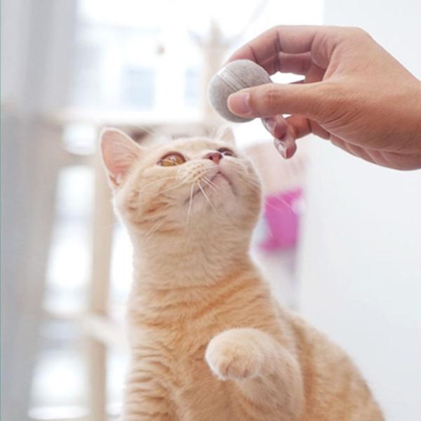 [오늘출발] 새로운 스마트 실내 자동 사악한 튀는 대화형 고양이 자기 회전