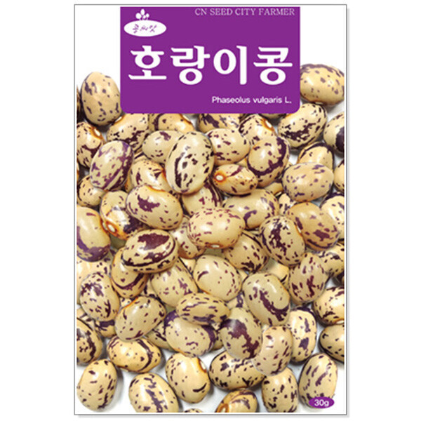 [오늘출발] 호랑이콩 씨앗 1kg /대용량호랑이콩 콩씨앗