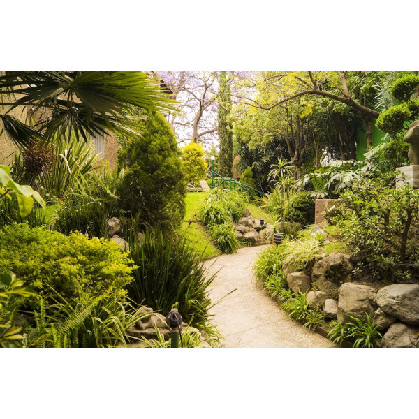 | Mexico City | 가든 하우스 샌 안헬에 오신 것을 환영합니다