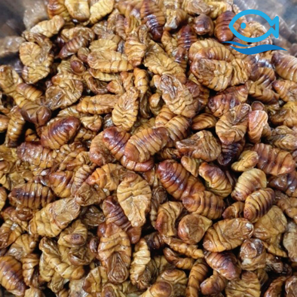 [바다해수산][오늘출발] 바다더해 냉동 번데기 4kg 국민간식 주전부리 술안주