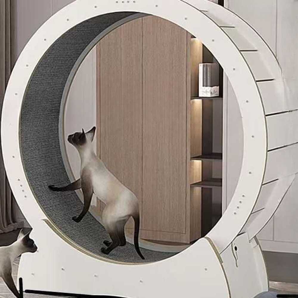 고양이운동기구 고양이런닝머신 고양이캣휠 런닝머신