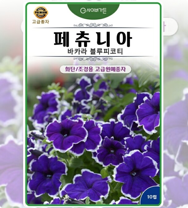 [오늘출발] 페츄니아 바카라 블루피코티 10립 포복성꽃씨 씨앗 CG004042 정원가꾸기