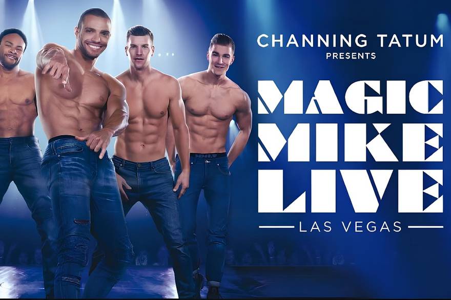 공식판매업체 라스베가스 매직 마이크 라이브 쇼