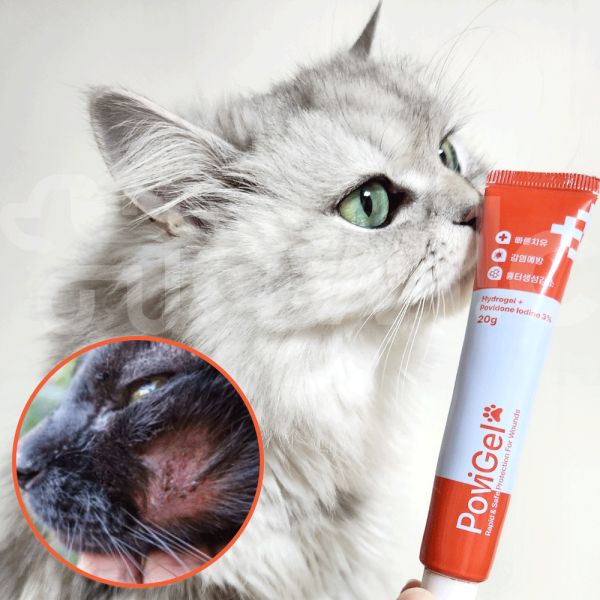 [오늘출발] (병원가면 이 연고 줘요)하울릭 고양이 턱드름 링웜 상처 곰팡이 습진 피부병 농피증 연고 포비겔 20g 1개
