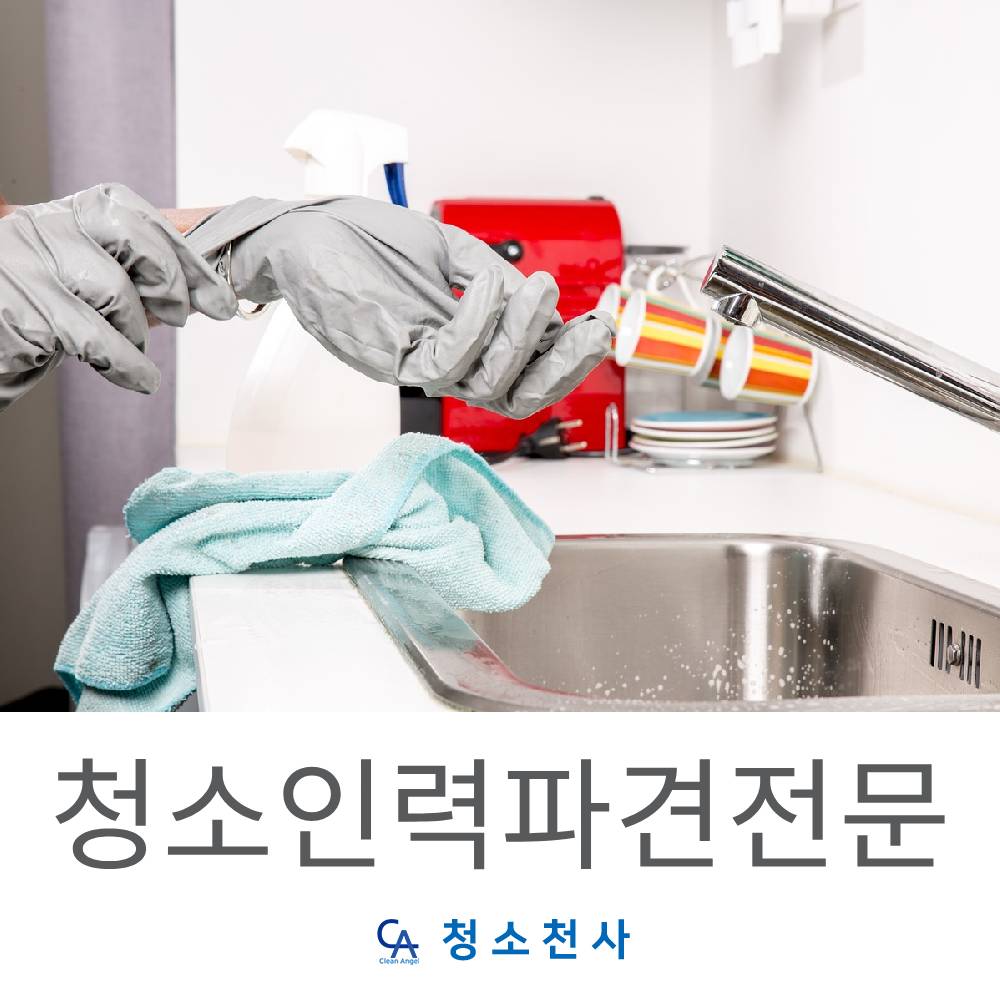 청소 구인 구직 대행 알바 인력 지원 파견 전문 업체 문의 가격 비용 상담