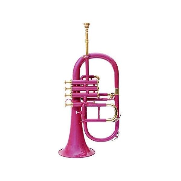 SAI MUSIC PINK FUGEL Horn Bb Pitch 무료 하드 케이스 및 마우스피스와 함께 판매합니다