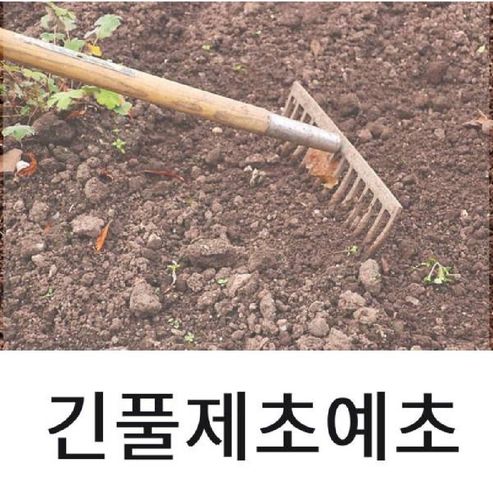 도로 고속도로 휴게소 고속도로휴게소 쉼터 산소 벌초 예초 제초 잡초베기 풀깍기 문의 견적 비용 상담