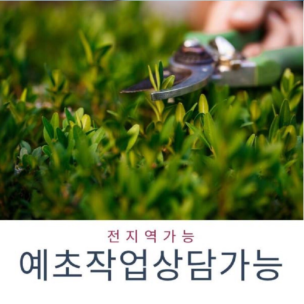 농산물센터 농수산물센터 농지 글램핑장  놀이공원  벌초 예초 제초 잡초베기 풀깍기 문의 견적 비용 상담