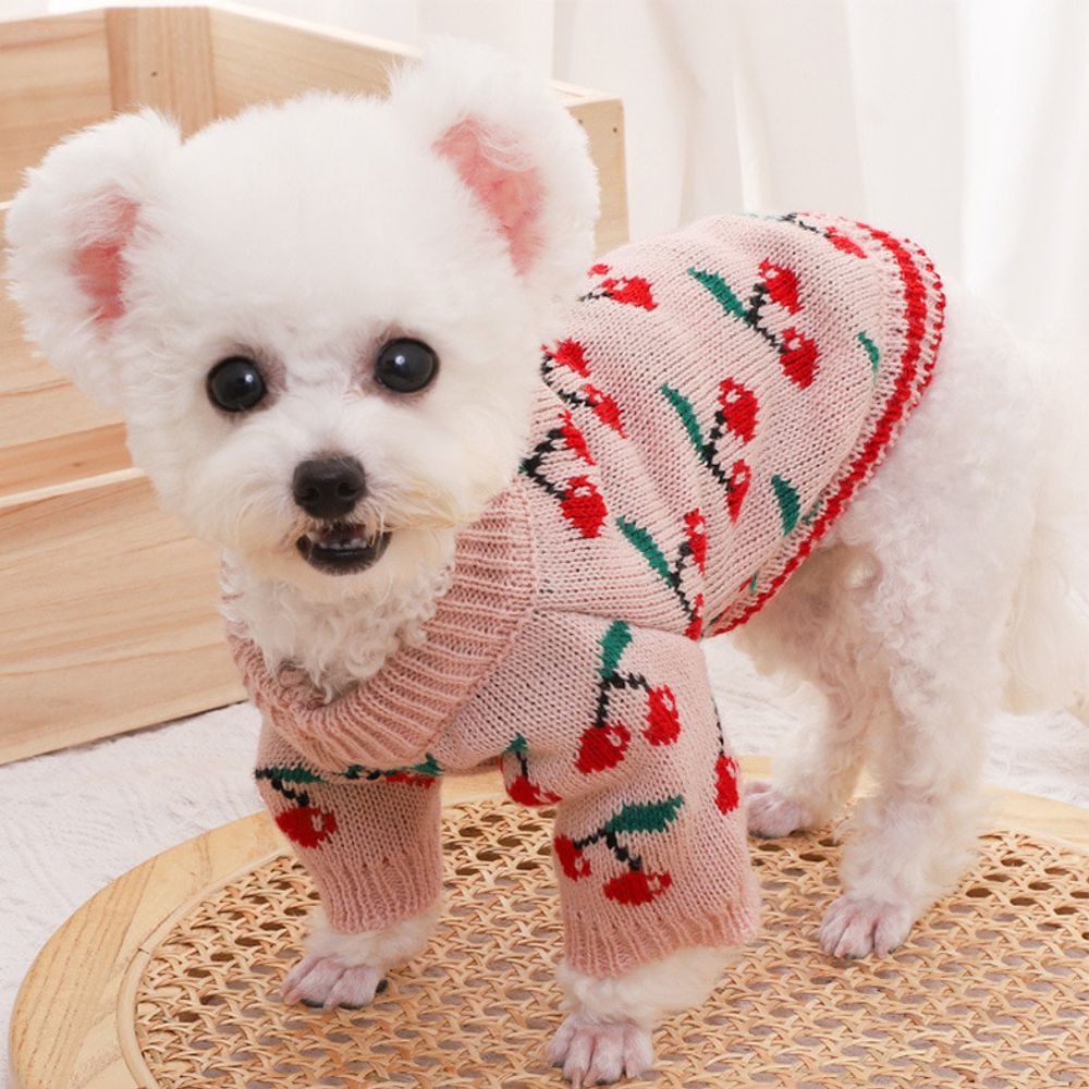 [오늘출발] 애견실내복 핑크 체리 니트 스웨터 강아지옷