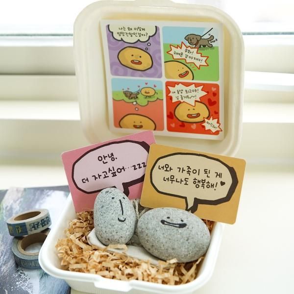 교보문고 갓샵 반려돌 애완돌 펫스톤 펫 돌 키우기 쓸데없는 선물