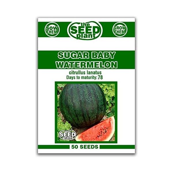 [해외] 프리미엄 과일씨앗 맛있는 정원 과일씨 슈가 베이비 수박 씨앗 - 50개의 비-GMO