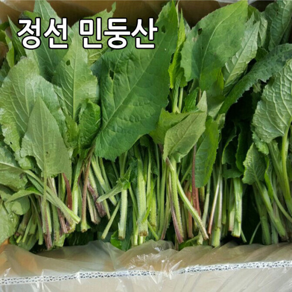 강원도 정선 생곤드레 곤드레 나물 4kg 민둥산 산나물
