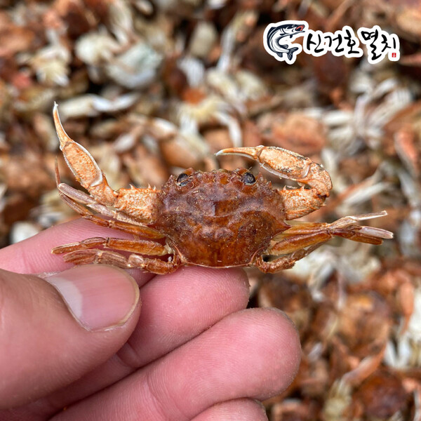 신건호멸치 (현대Hmall)국산 베이비크랩 500g 무료배송 키토산게 튀김 건어물