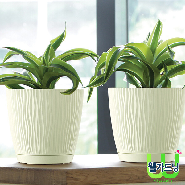 [오늘출발]Prosperplast 샌디P화분 DSY190P 폴란드화분 플라스틱화분