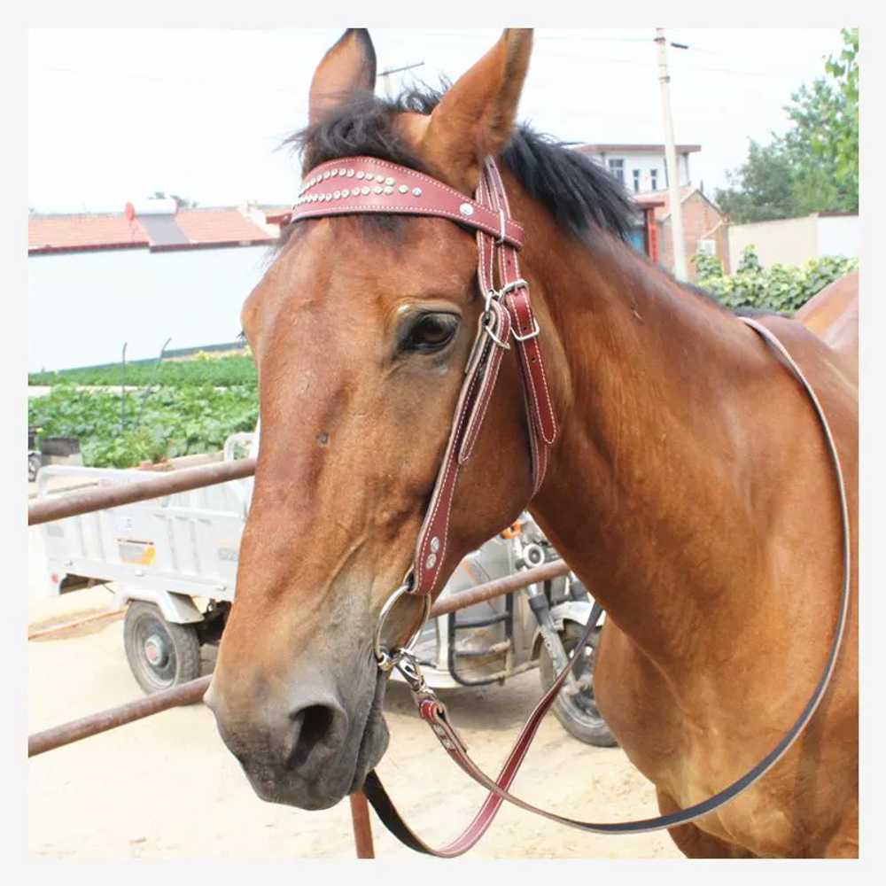 말 고삐 고급형 재갈 로프 승마 장비 경마 하네스 가죽