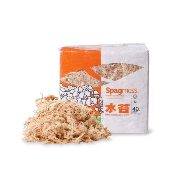 최고급 뉴질랜드 수태500g 풍란 서양란 나무 이끼 수태봉만들기 뉴질랜드수태 수태F93