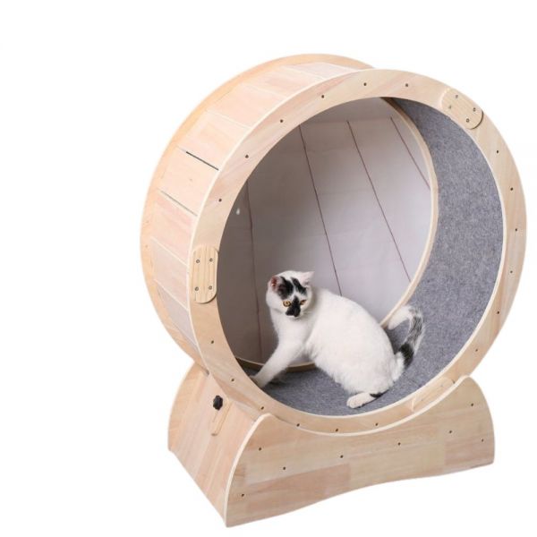 지름 1미터 고양이 원목 캣휠 장난감 원형 라지 휠 런닝머신 다이어트 룰렛 용품 고양이 캣워커 켓휠