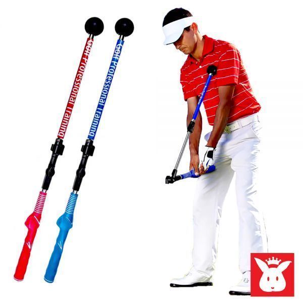 토토골프프로샵 그립 스윙연습도구 연습채 스윙스틱 자세 바디턴 스윙기 실내용 기 실내골프연습기 골프 골